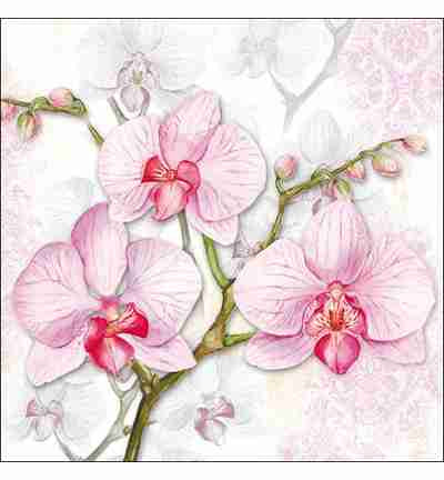 Napkin 33 Orchids Lilac FSC Mix 20 PC